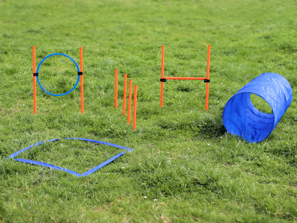 Agility Dog Trainings Set X für Hunde